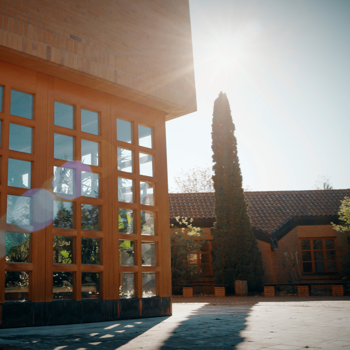 schulgebaeude-im-sonnenlicht1